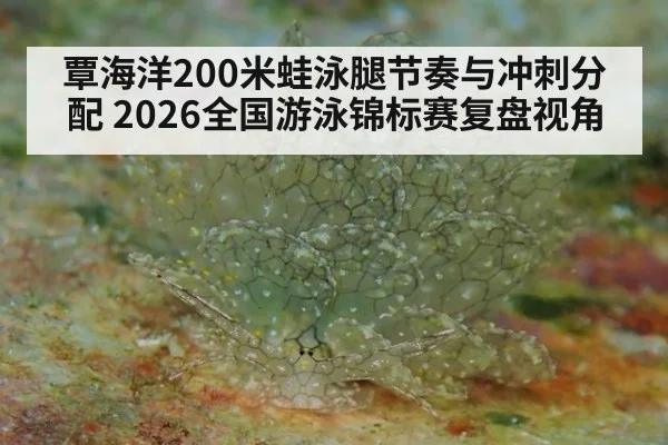 覃海洋200米蛙泳腿节奏与冲刺分配 2026全国游泳锦标赛复盘视角