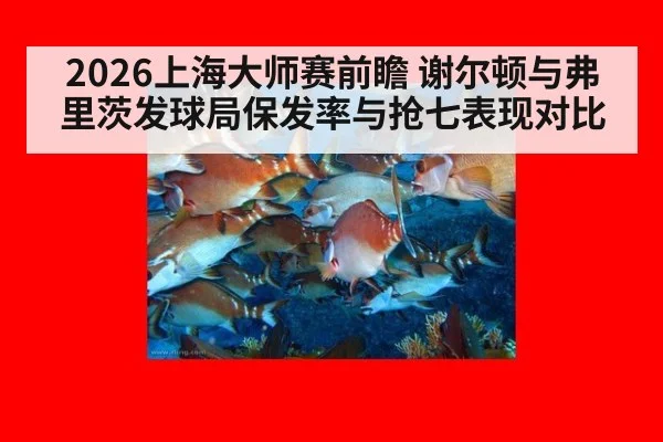 2026上海大师赛前瞻 谢尔顿与弗里茨发球局保发率与抢七表现对比